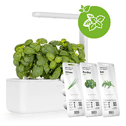 Plantes Click and Grow Smart Garden Capsule de substrat Capsules de plantation Jardin d'intérieur