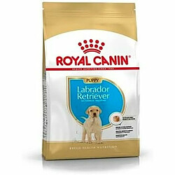 Nourriture Royal Canin Petit/Junior 3 Kg