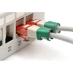 Avis DIGITUS Clips de Couleur pour câbles Patch RJ45 - Organisation par Couleur des câbles réseau - 100 pièces - pour câbles LAN Cat 5e, Cat 6 & Cat 6A - AWG 24/7 à 27/7 - Bleu