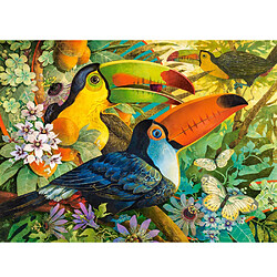 Castorland Puzzle 3000 pièces : Toucans