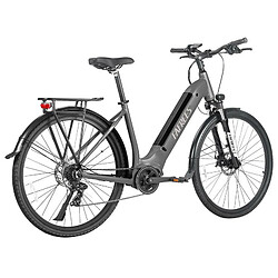 Acheter FAFREES FM9 Vélo électrique City gris