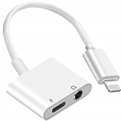 GUPBOO Adaptateur Lightning Jack iPhone 7 8X,JL2536