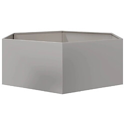 Avis vidaXL Jardinière hexagone 138x120x45 cm acier inoxydable