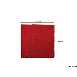 Beliani Tapis épais 200 x 200 cm rouge DEMRE