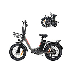 Autrement Vélo électrique Pliable BAOLUJIE DZ-2030 48V16AH,Moteur 750W 20*4.0”- Portée 80KM,40KM/H-Gris 