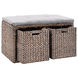 vidaXL Banc avec 2 paniers Jacinthe d'eau 71 x 40 x 42 cm Gris