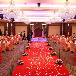 Wewoo Fleurs Artificielles 1000 PCS Mariage Artificielle De Pétales De Rose Décorations De Rouge pas cher