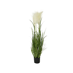 Kaemingk Plante Artificielle Herbes Pampas En Pot Plastique - Ø 40 x 100 cm - Nos Envies Déco