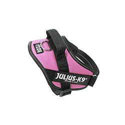 Julius-K9 IDC-Power Harnais pour Chien Rose Taille Mini