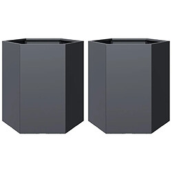 vidaXL Jardinières 2 pcs anthracite hexagone 46x40x45 cm acier