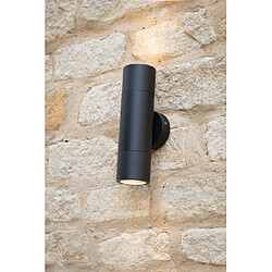 Luminaire Center Applique de jardin Ortega Noir mat,verre 2 ampoules 21cm pas cher