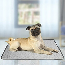 Acheter Cats Dogs Training Pad Puppy Piddle Mat Potty Trainer Litière Plateau Lavable M