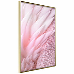 Paris Prix Affiche Murale Encadrée Pink Feathers 20 x 30 cm Or