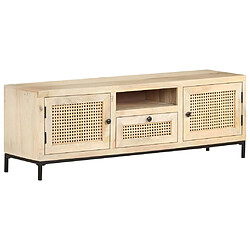 Maison Chic Meuble TV scandinave - Banc TV pour salon 120x30x40 cm Bois de manguier et canne naturelle -MN35561