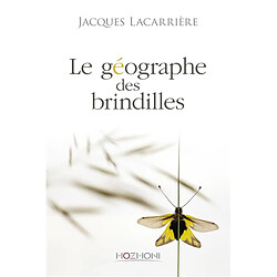 Le géographe des brindilles - Occasion