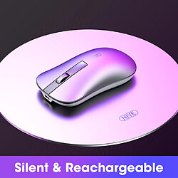 Universal Souris Bluetooth sans fil 2,4 GHz pour la souris Huawei Silence Ordinateur DPI Apple Laptop Symbolic Mouse