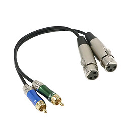 Avis Câble d'Interconnexion 1ft Double XLR Femelle à 2-RCA Mâle Fiche