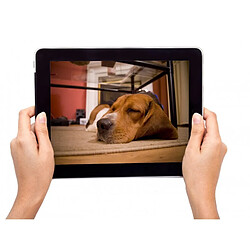 Acheter Eyenimal Caméra de surveillance Pet Vision Live HD