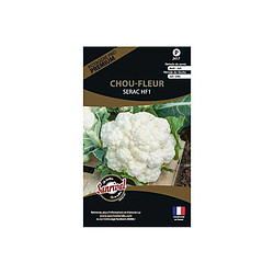 Sanrival Graines potagères premium chou Chou fleur blanc Serac