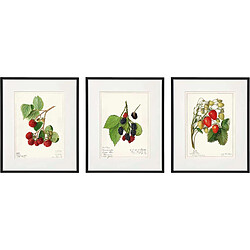 Sil Tableau décoratif Fruits 20 x 25 cm (Lot de 3).