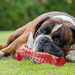 Jouet pour chien Brosse à dents molaire résistante aux morsures - Simulation d'os en caoutchouc naturel