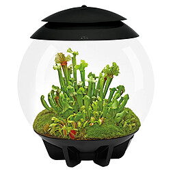 Terrarium automatisé noir - Air 30 black - OASE