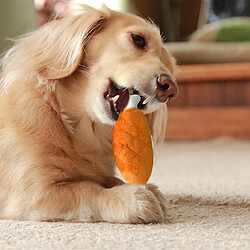 Jouets à mâcher pour chien en peluche douce, en forme de pilon de poulet, résistants aux morsures