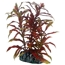 Hobby Nesaea Plante pour Aquariophilie 13 cm