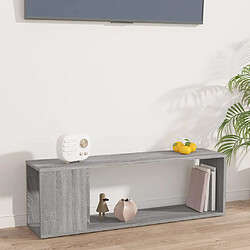 vidaXL Meuble TV Sonoma gris 100x24x32 cm Bois d'ingénierie