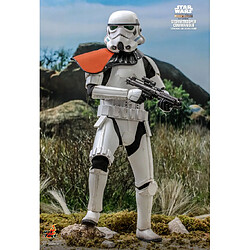 Avis Hot Toys TMS041 - Star Wars : The Mandalorian - Stormtrooper Commander