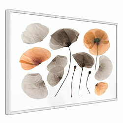 Paris Prix Affiche Murale Encadrée Dried Poppies 30 x 20 cm Blanc