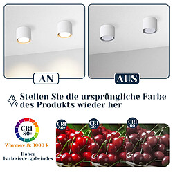 Acheter NETTLIFE Pack de 2 Plafonniers Spots LED Blancs : Plafonds ronds en saillie, alum. 230V, ampoules GX53 5W 3000K, pour chambre, couloir