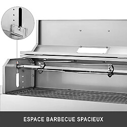 Avis Grill traditionnel électrique Gourmet Barbecue au charbon de bois, 25 W, 2172 cm Carré, Acier Inox, Plein Air pour Camping Parc