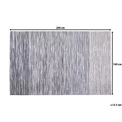 Beliani Tapis en dégradé de gris 140 x 200 cm KAPAKLI