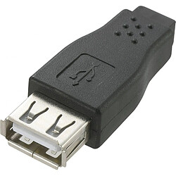 Renkforce USB 2.0 Adaptateur [1x USB 2.0 type A femelle - 1x USB 2.0 femelle Mini-B] RF-4780816