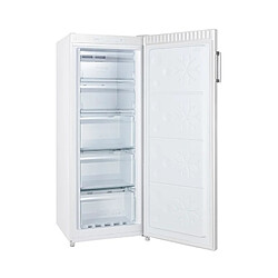 Acheter Congélateur armoire 54.4cm 166l ventilé blanc - FNF6166EW - FAGOR