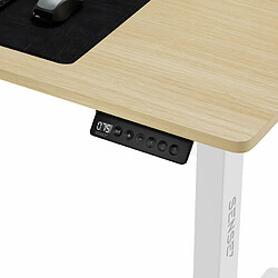 Avis Sense7 Nojo Table d'ordinateur Gamingtisch Bureau, 120 x 60 cm, réglage électrique de la hauteur, fonction mémoire, porte-casque, organisateur de câbles