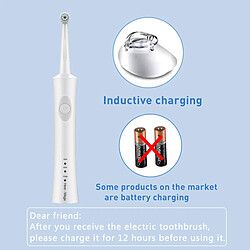 Acheter Universal Brosse à dents acoustique électrique Brosse automatique à ultrasons Soins buccaux Nettoyage Tête de brosse remplaçable Hygiène buccale | Brosse à dents électrique