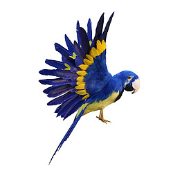 Artificiel à plumes Animal Bird Garden Figurine Decor perroquet bleu