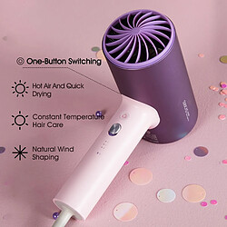 Acheter Universal Sèche-cheveux anion Sèche-cheveux professionnel Séche-cheveux électrique rapide Diffuseur en alliage d &'aluminium Circulation de l &'air chaud et froid