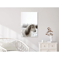 Decoshop26 Tableau toile de décoration murale impression premium en 1 partie sur châssis en bois motif Crinière de cheval 20x30 cm 11_0014986