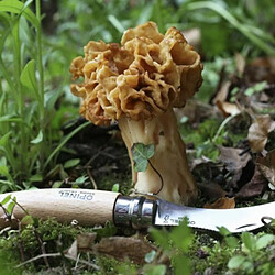 Couteau à champignon Opinel - 8 cm pas cher