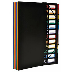 Acheter Viquel Rainbow Class - Trieur accordéon 12 compartiments en plastique - Pochette extensible pour classer et transporter des documents - Rangement papier format A4