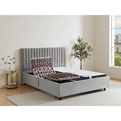 Vente-Unique Lit électrique de relaxation déco tout plots + matelas ressorts ensachés et mémoire de forme - 2 x 80 x 200 cm - Tissu - Gris - ANTALISA de DREAMEA