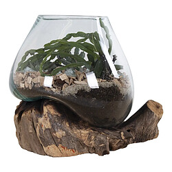 EPIKASA Terrarium San pas cher