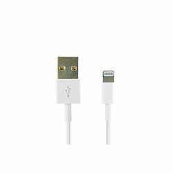 Câble USB vers Lightning 3GO C131 Blanc 1,2 m