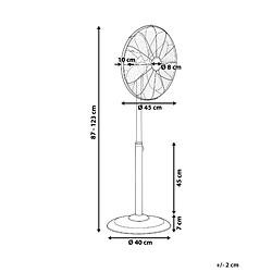 Avis Beliani Ventilateur sur pied TRENT Argenté