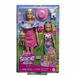 Avis Ludendo Coffret poupées Stacie et Barbie