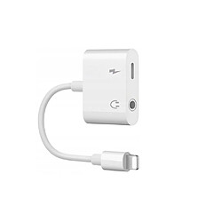 GUPBOO Adaptateur Lightning Jack iPhone 7 8X,JL1058