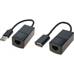 Abi Diffusion Extendeur USB sur RJ45 CAT5 - 60m 